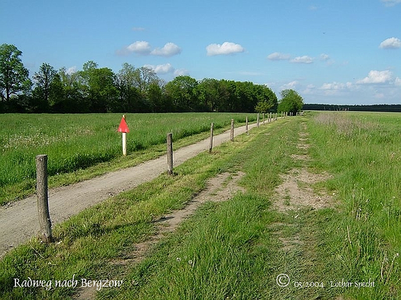 01100-Bergzow-Radweg-2004_05_16.JPG