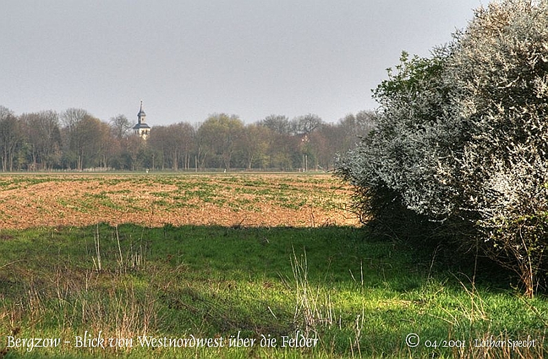 02400-Bergzow-Feuchtgebiet-2011_04_17.jpg