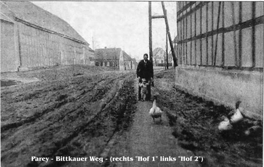 Parey-Bittkauer_Weg.jpg