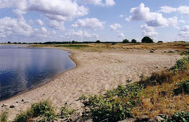 Derben-Elbe-Buhne-2003_09.jpg