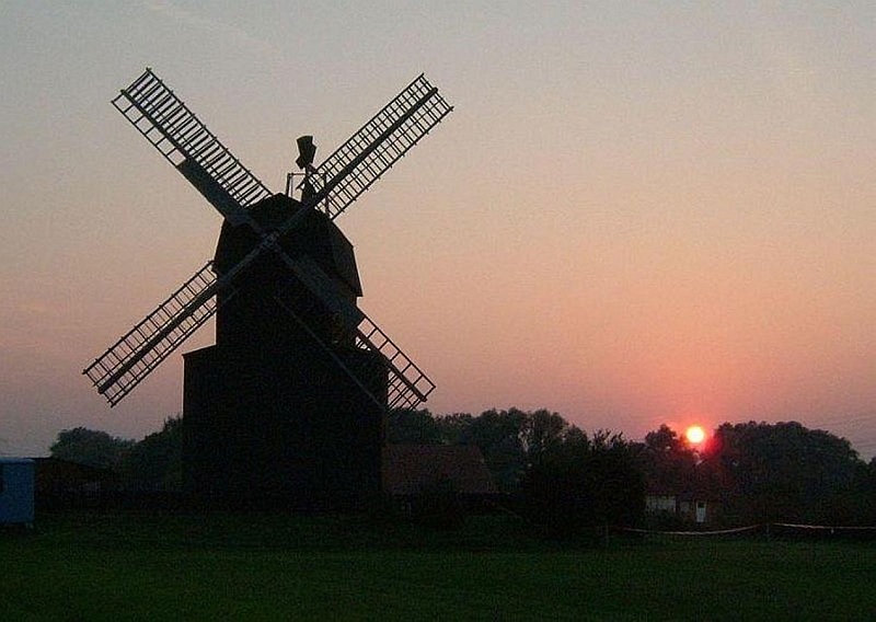 Elbaue-Landschaft-Paltrockwindmuehle-2005_10_12.jpg