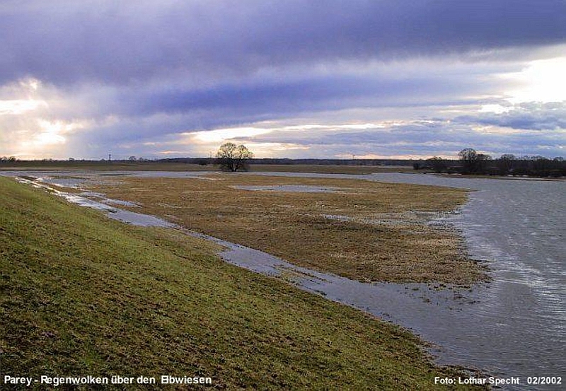 Elbaue-Parey-Hochwasser-Wolken05-k.jpg