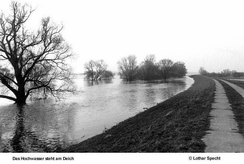 Elbaue-Parey-Hochwasser04-Elbdeich.jpg