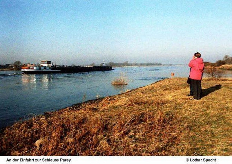 Elbaue-Parey-Muendung_Schleusenvorkanal01.jpg