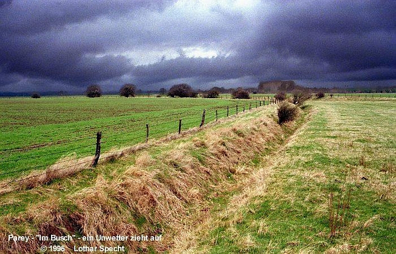 Elbaue-Parey-Unwetter.jpg