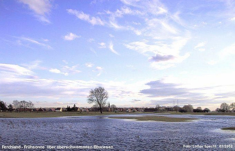 Ferchland-Hochwasser-Elbwiesen01-k.jpg