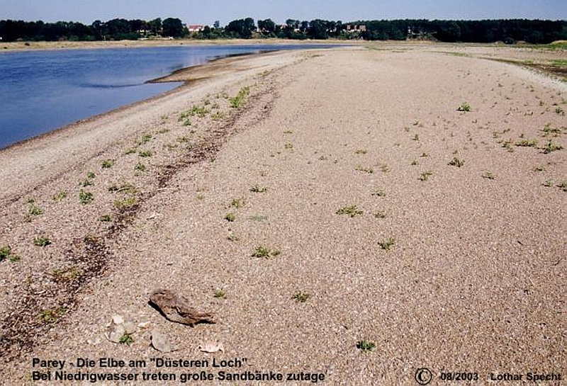 Parey-Elbe-Niedrigwasser-Sandbank-2003_08_10-k.jpg