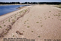 Parey-Elbe-Niedrigwasser-Sandbank-2003_08_10-k