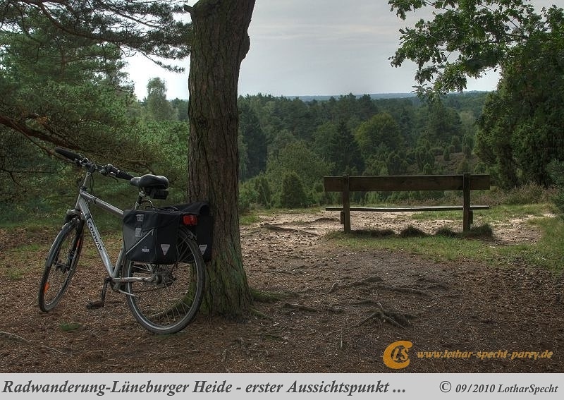 002-Lueneburger_Heide-2010_09_11.jpg