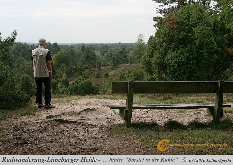 003-Lueneburger_Heide-2010_09_11.jpg