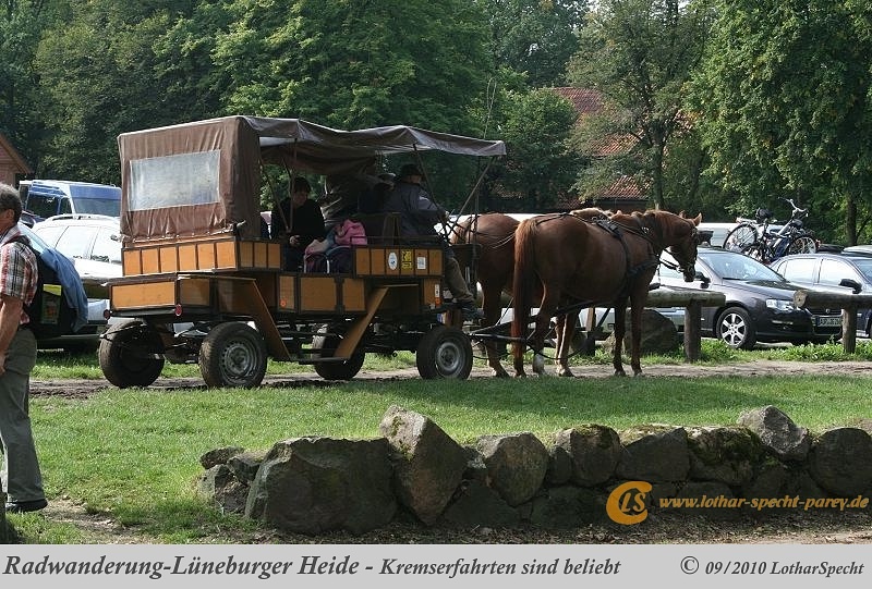 012-Lueneburger_Heide-2010_09_12.jpg
