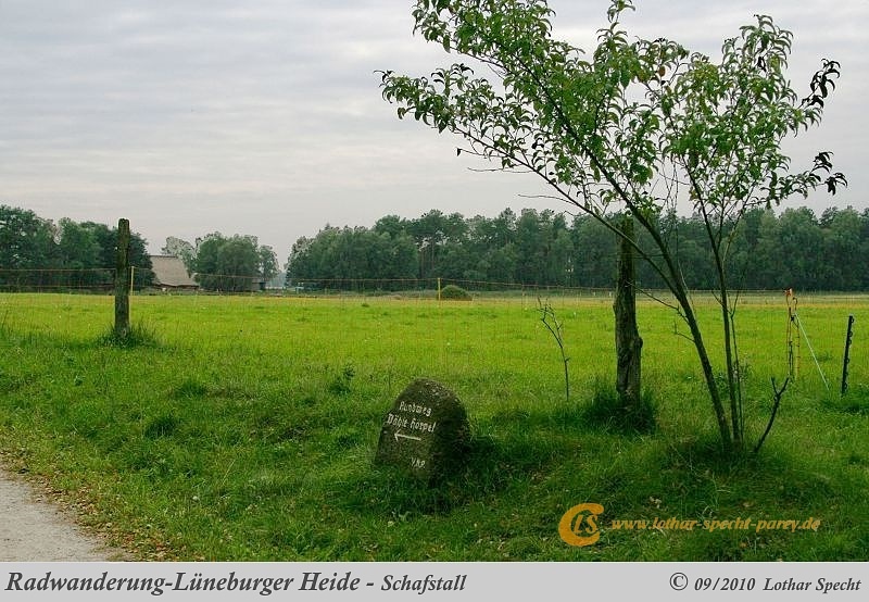 017-Lueneburger_Heide-2010_09_11.jpg