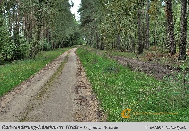 018-Lueneburger_Heide-2010_09_11.jpg