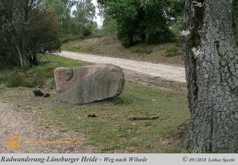 024-Lueneburger_Heide-2010_09_11.jpg