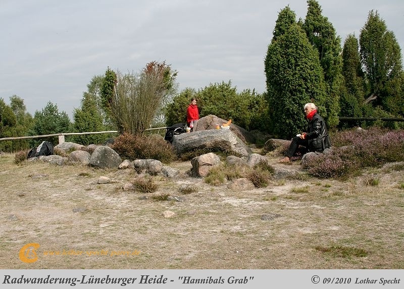 036-Lueneburger_Heide-2010_09_11.jpg