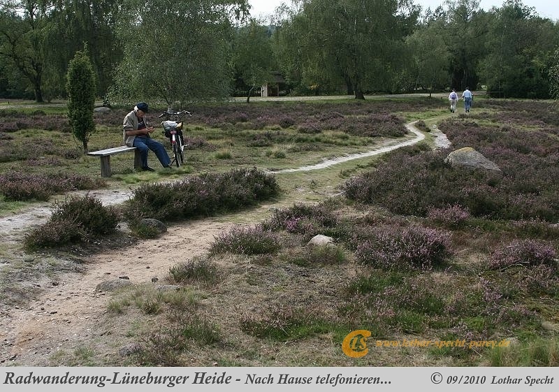 040-Lueneburger_Heide-2010_09_12.jpg