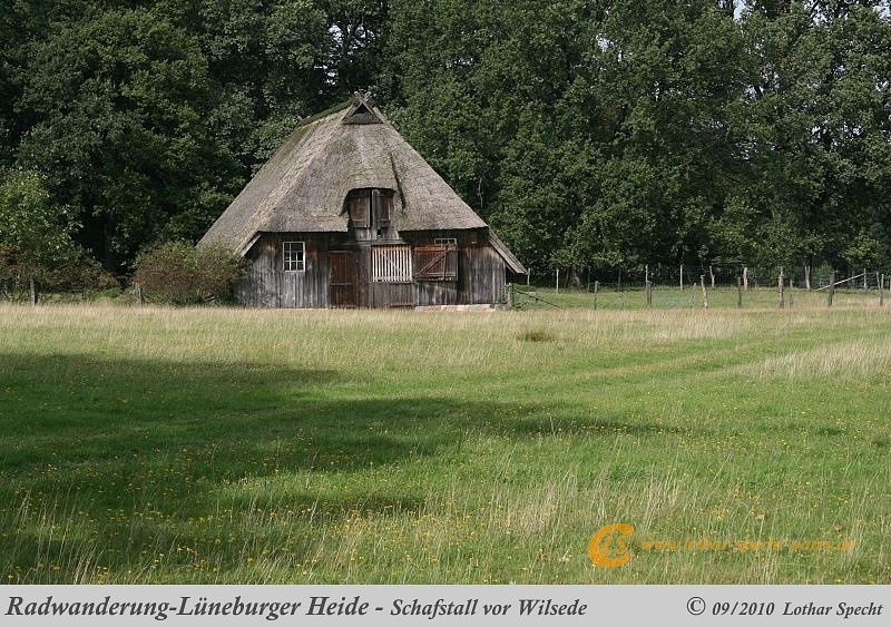 044-Lueneburger_Heide-2010_09_11.jpg