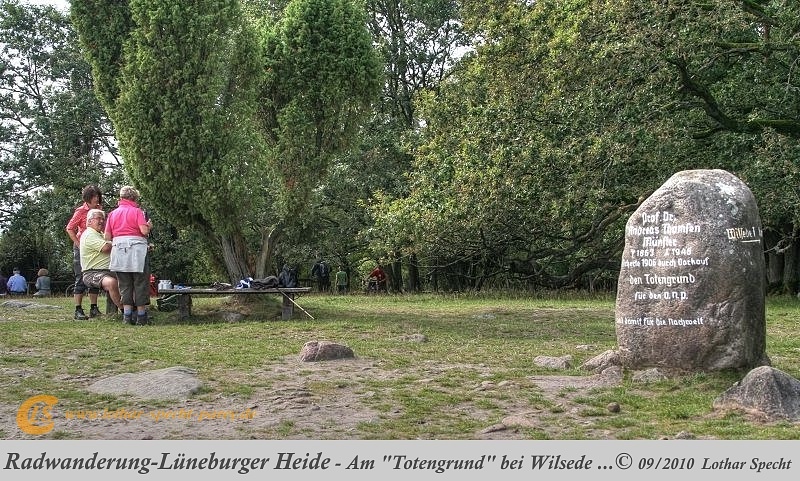 049-Lueneburger_Heide-2010_09_12.jpg