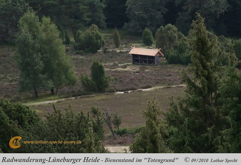 052-Lueneburger_Heide-2010_09_12.jpg