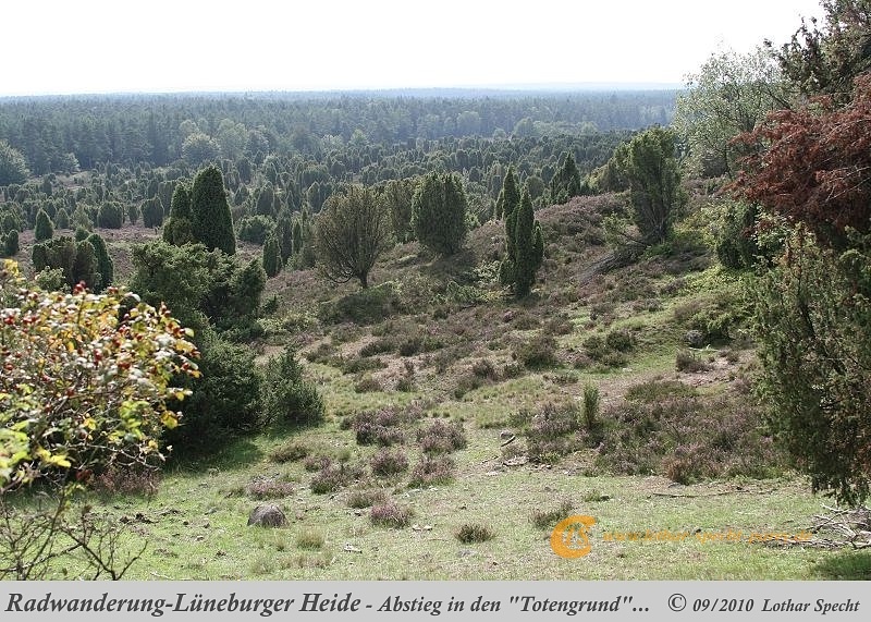 054-Lueneburger_Heide-2010_09_11.jpg