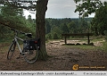 002-Lueneburger_Heide-2010_09_11