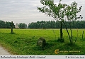 017-Lueneburger_Heide-2010_09_11