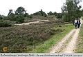 020-Lueneburger_Heide-2010_09_11