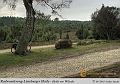 023-Lueneburger_Heide-2010_09_11