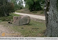 024-Lueneburger_Heide-2010_09_11