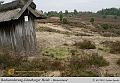 029-Lueneburger_Heide-2010_09_11