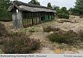 033-Lueneburger_Heide-2010_09_11