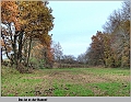 Neuderben-Toter_Arm-2012_11_12-002