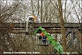 016-Parey-Eisenbahnbrueck-Demontage-Ahlemann-2015_03_24