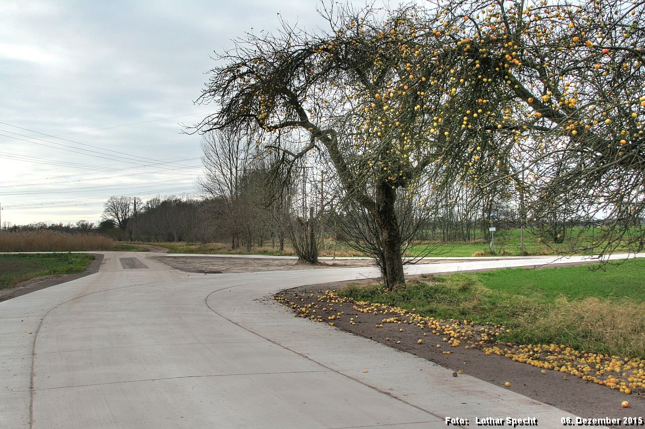 Parey-Siedlungsweg-Deichbaustelle-Schleuse-2015_12_06-003.jpg
