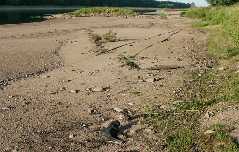 015-Elbe-Niedrigwasser-Sandbank-Buhne-2009_08_31.JPG