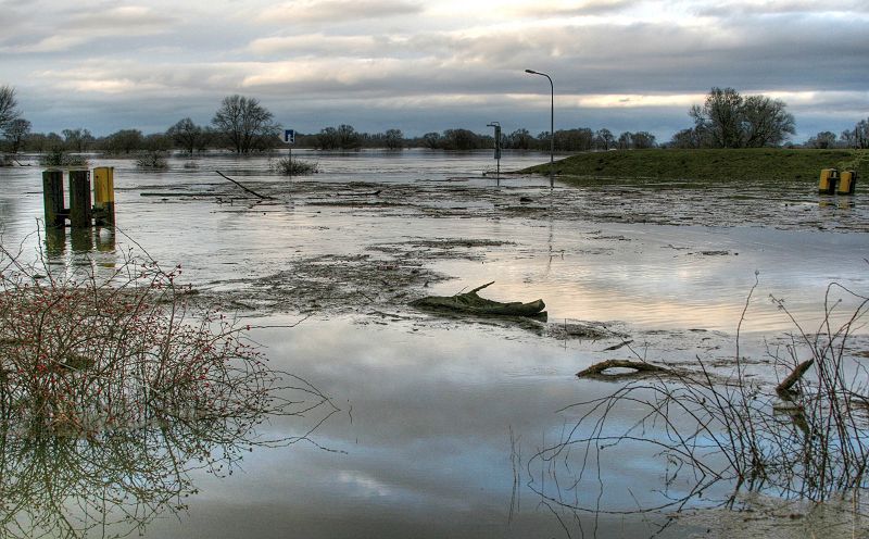 2011_01_18-009-Parey-An_der_Elbe-Winter-Hochwasser.jpg