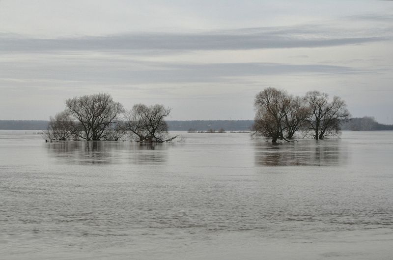 2011_01_22-007-Parey-Elbe-Hochwasser-Deichwache.jpg