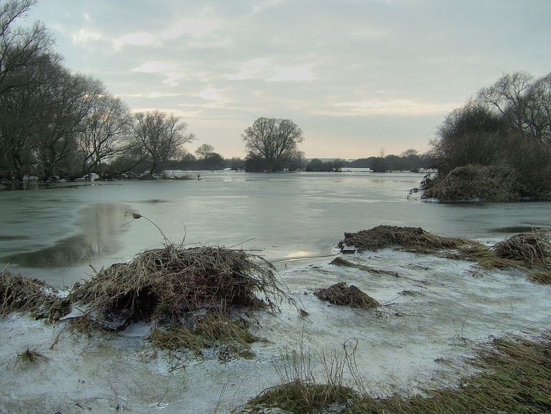 2011_02_02-003-Parey-An_der_Elbe-Winter-Hochwasser.jpg