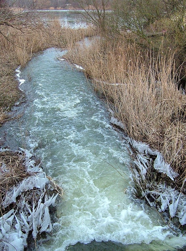 2011_02_02-0251-Parey-An_der_Elbe-Winter-Hochwasser.jpg