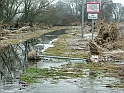 2011_01_31-002-Parey-An_der_Elbe-Winter-Hochwasser