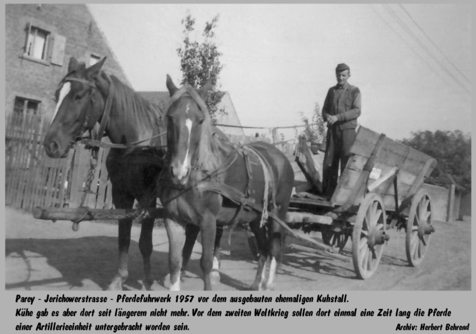 010-Parey-Jerichower_Strasse-Schaeferei-1957.jpg