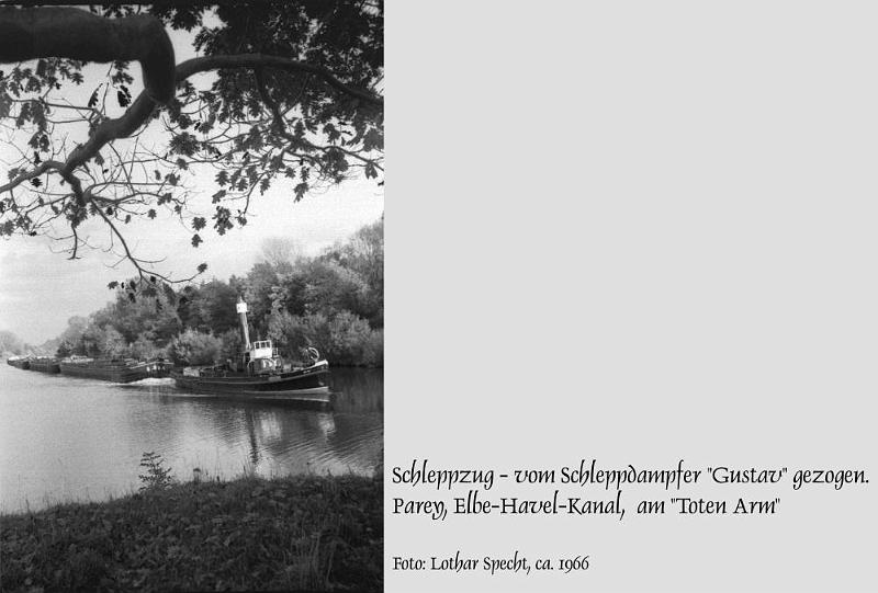 Parey-Schleppzug-Dampfer_Gustav.jpg