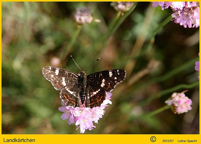 004-Landkaertchen-2012_07_08-001.JPG