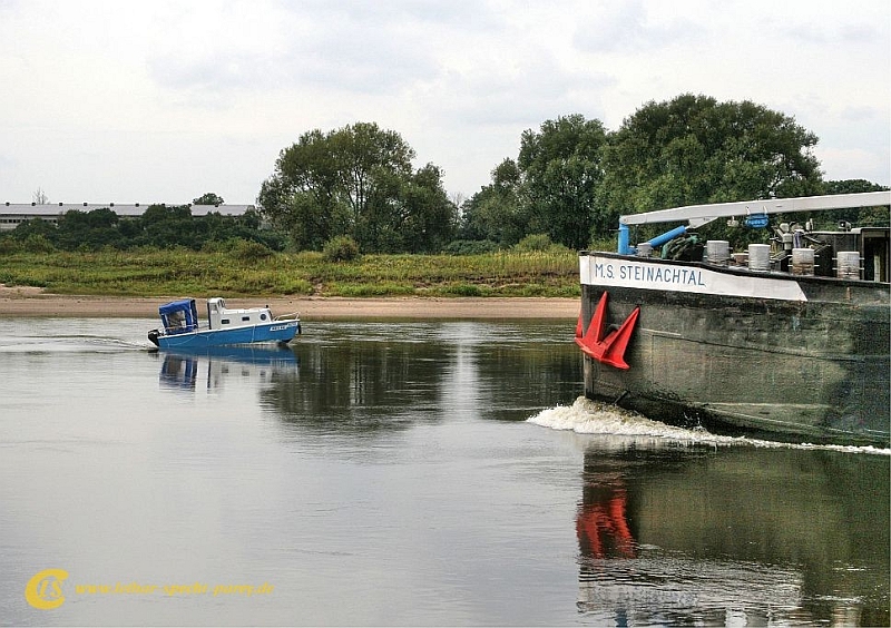 Parey-Elbe-Wassereichen-2012_08_31-013.jpg