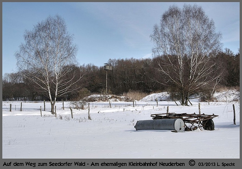 Wanderung_zum_Seedorfer_Wald-2013_03_23-web-001.jpg